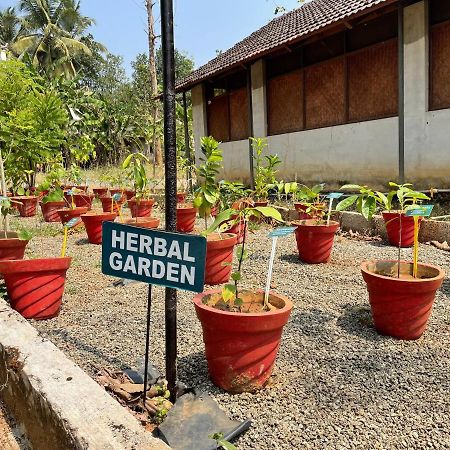Ayuryogashram Heritage Thrissur Exteriér fotografie