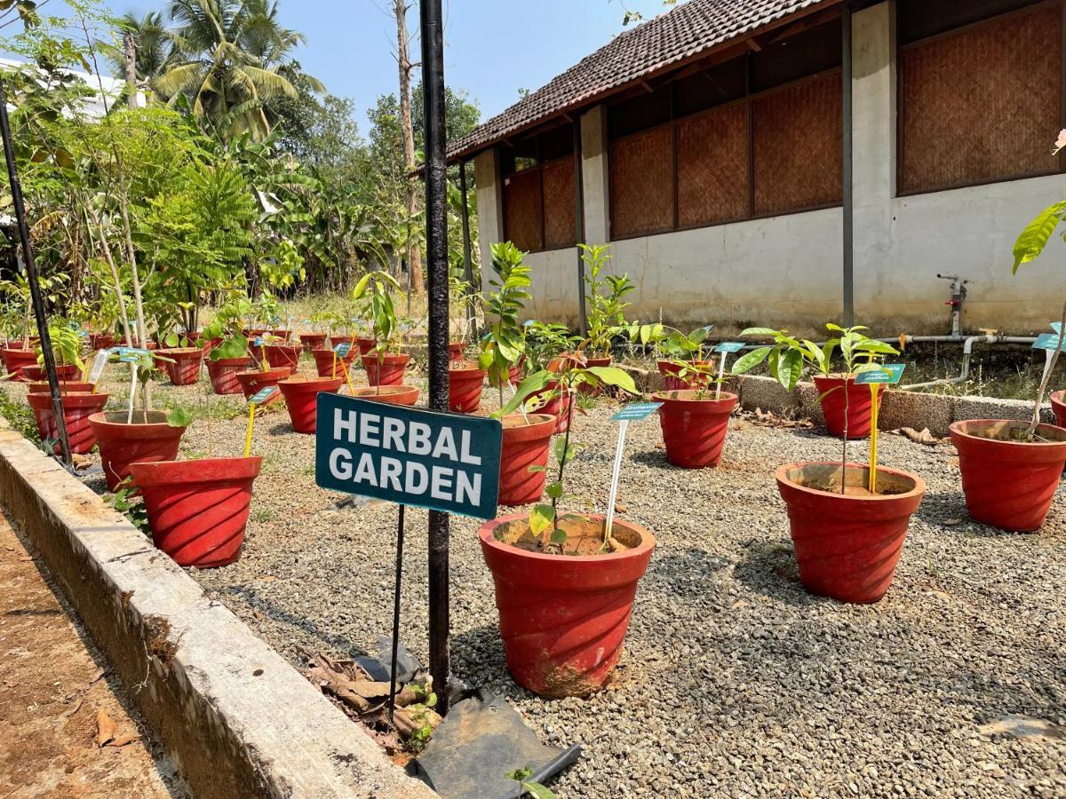 Ayuryogashram Heritage Thrissur Exteriér fotografie