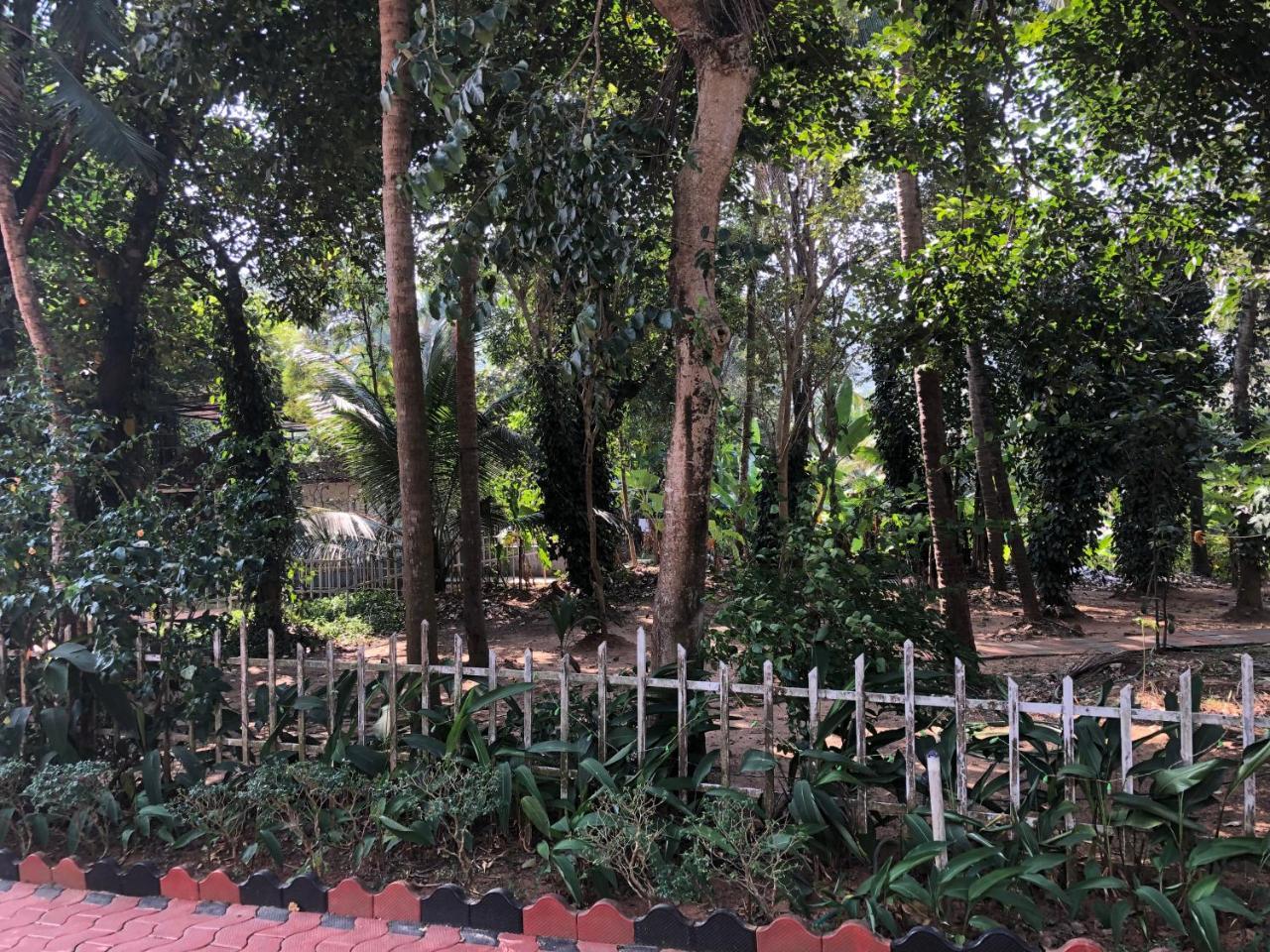 Ayuryogashram Heritage Thrissur Exteriér fotografie
